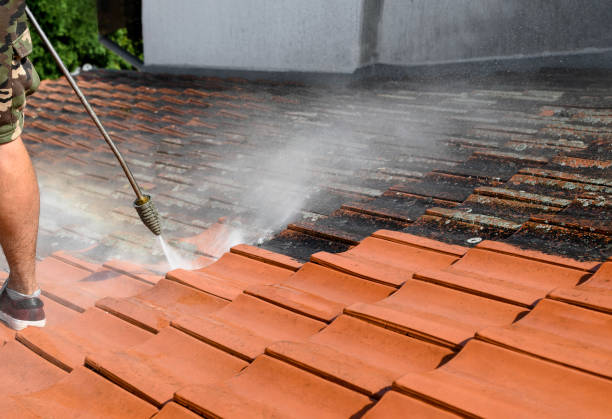 Best Commercial Pressure Washing  in Craigsville, WV