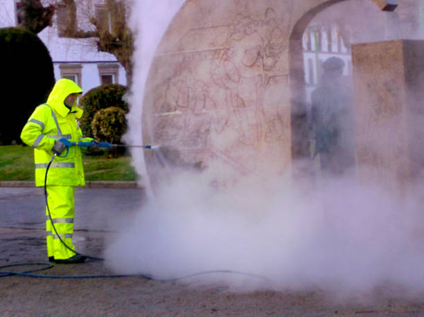 Best Exterior Home Cleaning  in Craigsville, WV